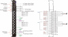 M5352 Интерфейсный модуль, 2xSSI, RTB 18